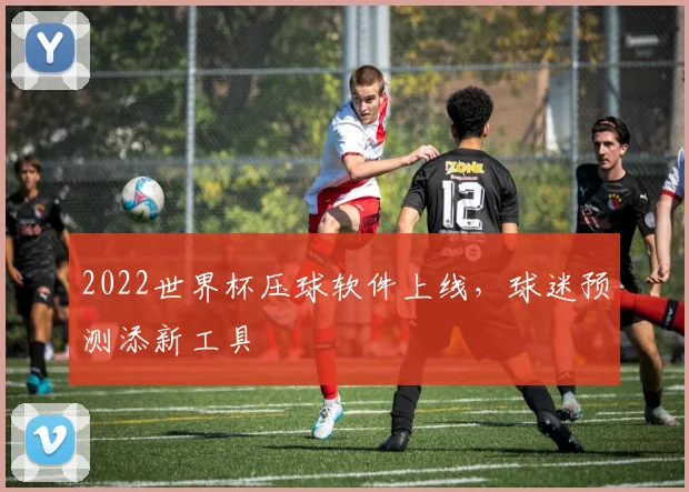 2022世界杯压球软件上线，球迷预测添新工具