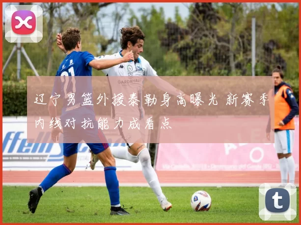 辽宁男篮外援泰勒身高曝光 新赛季内线对抗能力成看点