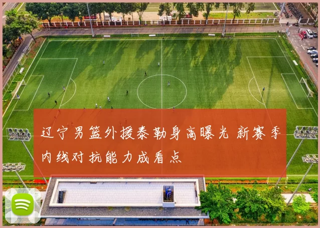 辽宁男篮外援泰勒身高曝光 新赛季内线对抗能力成看点