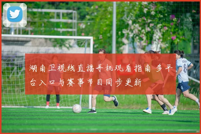 湖南卫视线直播手机观看指南 多平台入口与赛事节目同步更新