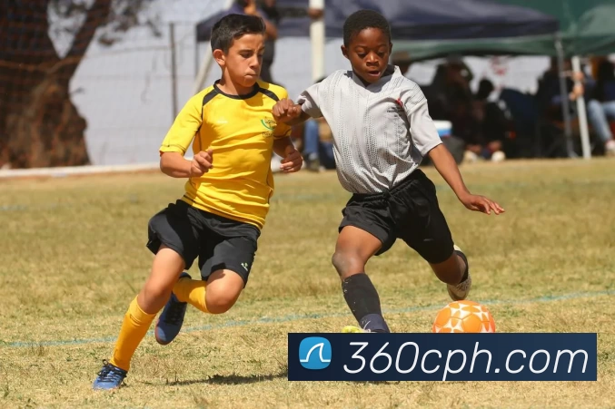 世界杯中国官网服务体系